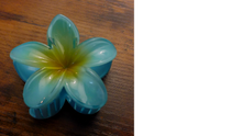 Load image into Gallery viewer, Pasifika Petal Hair Clip