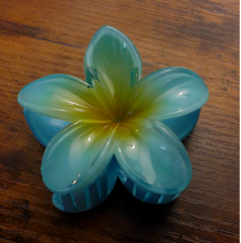 Load image into Gallery viewer, Pasifika Petal Hair Clip