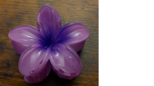 Load image into Gallery viewer, Pasifika Petal Hair Clip
