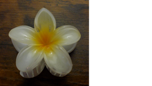 Load image into Gallery viewer, Pasifika Petal Hair Clip