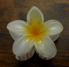Load image into Gallery viewer, Pasifika Petal Hair Clip
