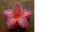 Load image into Gallery viewer, Pasifika Petal Hair Clip