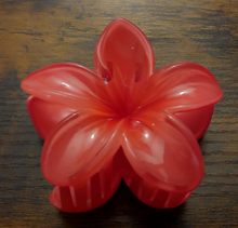 Load image into Gallery viewer, Pasifika Petal Hair Clip