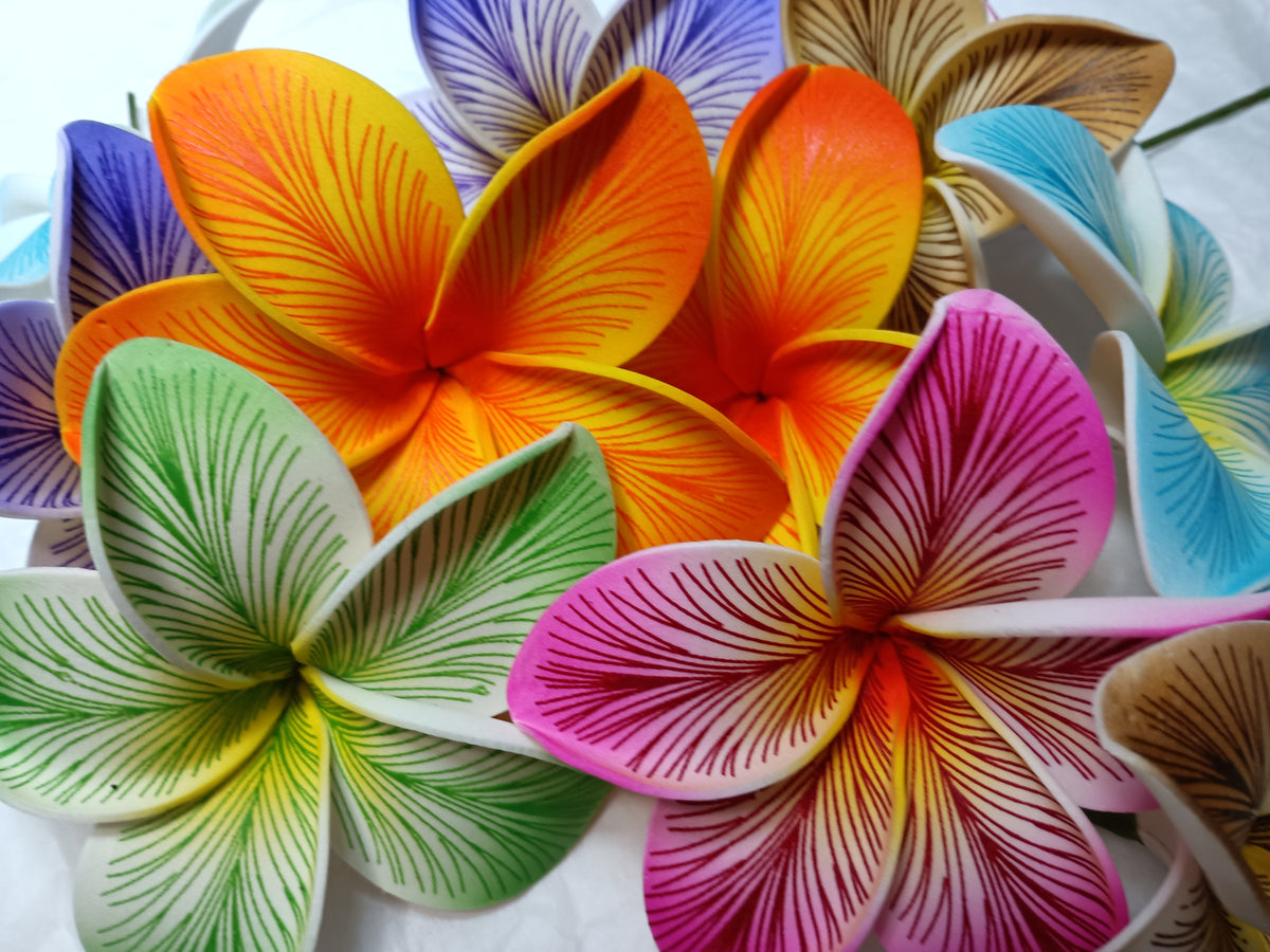 Plumeria様 リクエスト 2点 まとめ商品 ISLAND PETALS SEI – PolyFob