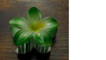 Load image into Gallery viewer, Pua Mana Hair Clip