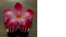 Load image into Gallery viewer, Pua Mana Hair Clip