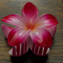 Load image into Gallery viewer, Pua Mana Hair Clip