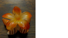 Load image into Gallery viewer, Pua Mana Hair Clip