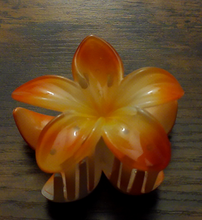 Load image into Gallery viewer, Pua Mana Hair Clip