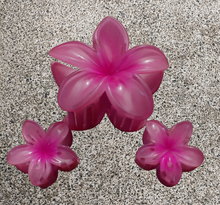 Load image into Gallery viewer, Island Snap Hair Clip β Set of 3