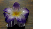 Load image into Gallery viewer, Pua Mana Hair Clip
