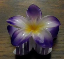Load image into Gallery viewer, Pua Mana Hair Clip