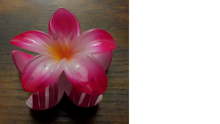 Load image into Gallery viewer, Pua Mana Hair Clip