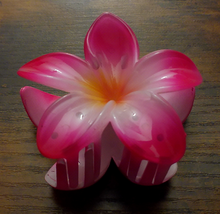 Load image into Gallery viewer, Pua Mana Hair Clip