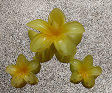 Load image into Gallery viewer, Island Snap Hair Clip β Set of 3