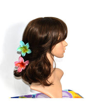 Load image into Gallery viewer, Acrylic Plumeria Flower Hair Clip