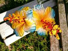 Load image into Gallery viewer, HIBISCUS DELIGHT HAIR SEI