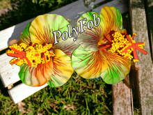 Load image into Gallery viewer, HIBISCUS DELIGHT HAIR SEI