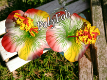 Load image into Gallery viewer, HIBISCUS DELIGHT HAIR SEI