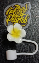 Load image into Gallery viewer, PUA STRAW TOPPER