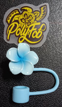 Load image into Gallery viewer, PUA STRAW TOPPER