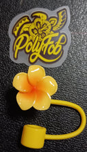 Load image into Gallery viewer, PUA STRAW TOPPER