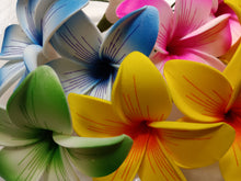 Load image into Gallery viewer, PUA ESSENCE SEI & CLIP