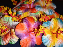 Load image into Gallery viewer, HIBISCUS DELIGHT HAIR SEI