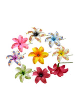 Load image into Gallery viewer, PolyFob Mystery Bloom Bundle