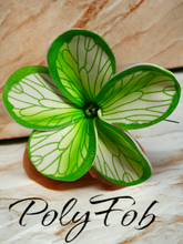 Load image into Gallery viewer, PLUMERIA GLOW SEI