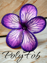 Load image into Gallery viewer, PLUMERIA GLOW SEI