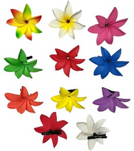 Load image into Gallery viewer, TIARE BLISS HAIR CLIP