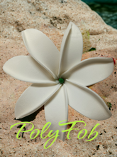 Load image into Gallery viewer, TIARE BLISS SEI