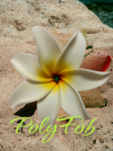 Load image into Gallery viewer, TIARE BLISS SEI