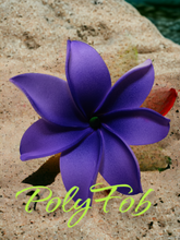 Load image into Gallery viewer, TIARE BLISS SEI