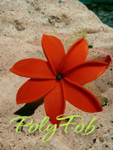 Load image into Gallery viewer, TIARE BLISS SEI