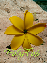 Load image into Gallery viewer, TIARE BLISS SEI