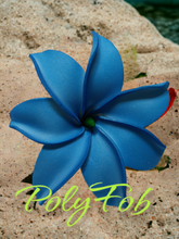 Load image into Gallery viewer, TIARE BLISS SEI