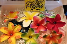 Load image into Gallery viewer, PolyFob Mystery Bloom Bundle