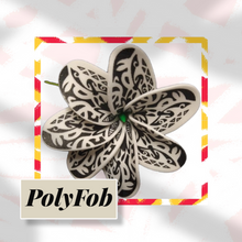 Load image into Gallery viewer, TIARE BREEZE SEI