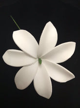 Load image into Gallery viewer, TIARE GRACE SEI