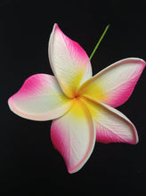 Load image into Gallery viewer, PUA MANA SEI & CLIP