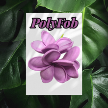 Load image into Gallery viewer, PLUMERIA PARADISE SEI