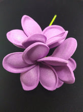 Load image into Gallery viewer, PLUMERIA PARADISE SEI