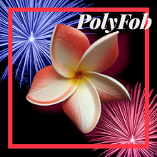 Load image into Gallery viewer, PUA MANA SEI & CLIP