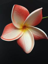 Load image into Gallery viewer, PUA MANA SEI & CLIP