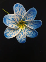 Load image into Gallery viewer, TIARE BREEZE SEI