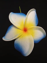 Load image into Gallery viewer, PUA MANA SEI & CLIP