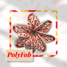 Load image into Gallery viewer, TIARE BREEZE SEI