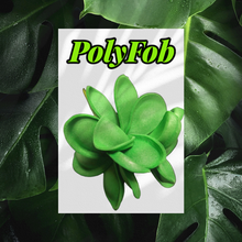 Load image into Gallery viewer, PLUMERIA PARADISE SEI